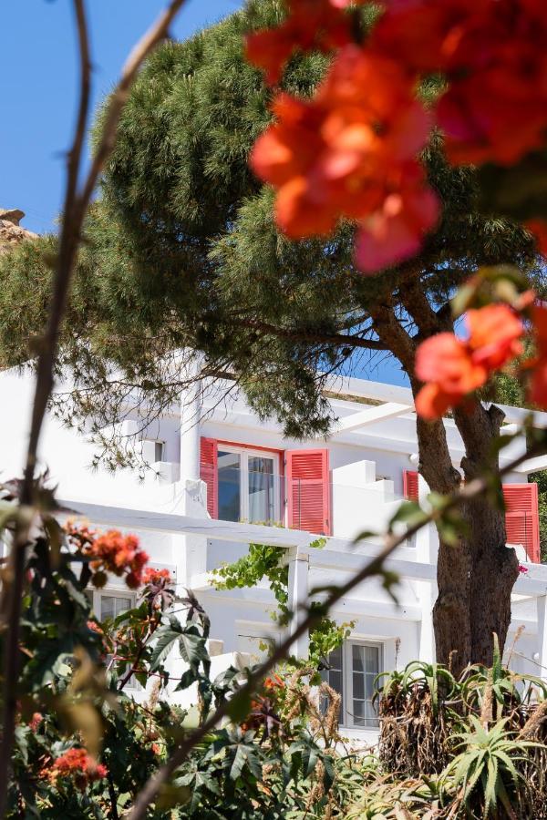 Rhenia Hotel Tourlos Exterior photo